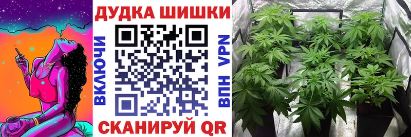 Магазины продажи наркотиков Шлиссельбург КОКАИН  АМФ  Alpha-PVP  НБОМе  ГАШИШ  Мефедрон  Каннабис 